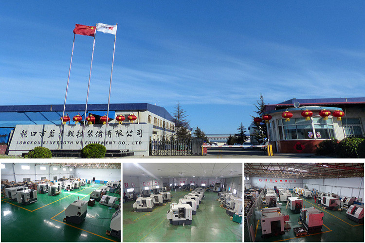 海燕策略菠菜华人论坛|海燕策略社区论坛|海燕策略斫研究论坛